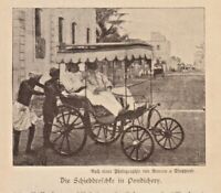 Droschke in Indien anno 1898 Pondicherry - Historische Abbildung von 1898
