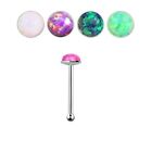 Body Accentz Nose Ring Stud 2Mm Round Synthetic Opal Stone Lot Of 4 Bones