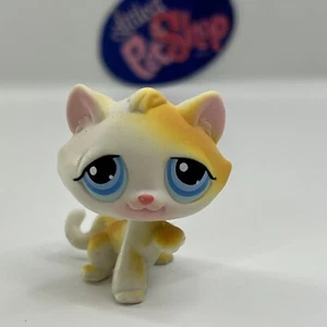 KÄTZCHEN KATZE #52 - Authentic Littlest Pet Shop - Hasbro LPS - Bild 1 von 4