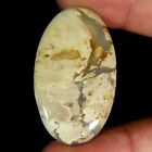 33.50Cts.100%Natural Top Quality Palm Root Agate 21X37x5mm Oval Cab Gemstone