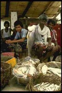 595017 Fischer am Markt Cochin A4 Fotodruck - Bild 1 von 1