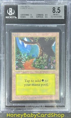 MTG Limited Edition Beta 1993 Forest (B) BGS 8.5Q++ (Baby Quad++) NM/MT+ 93/94 - Image 1 of 4