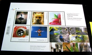 Kanada Briefmarke Scott # 2388 Wildlife 2010 postfrisch L737 - Bild 1 von 1