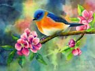 Eastern Bluebird Drzewo dog Kwiaty Płytka ceramiczna Mural Backsplash