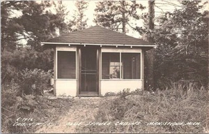 Cabinas de abeto azul #15 RPPC Manistique Michigan Cabinas de la década de 1930 - Imagen 1 de 2