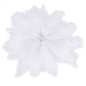 20 x natural ostrich  25-30cm white decoration festivities H7O61082 - Picture 1 of 6