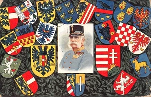 POSTCARD AUSTRIA FRANZ JOSEPH 1908 ARMS OF THE VARIOUS KINGDOMS - Picture 1 of 2