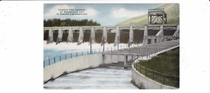 Cartolina antica Oregon Bonneville Dam / scale di pesce / salmone / fiume Colombia - Foto 1 di 2
