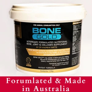 Equine Bone Gold - Bone, Joint & Collagen supplement for Horses - Picture 1 of 2