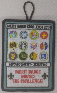 BSA 2014 MERIT BADGE CHALLENGE     MERIT BADGE MAGIC: THE CHALLENGE! - Picture 1 of 1