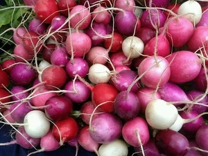 ☺ 500 graines de radis en mélange. Plus de 10 variétés dans le sachet - Foto 1 di 1