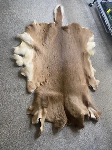 WHITETAIL DEER HIDE~ DEERSKIN PELT WITH HAIR ON ~ CABIN RUG ~ HOME DECOR ~ SOFT - Picture 1 of 4