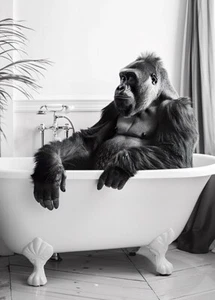 Gorilla In Bathtub #2 - Cute Funny Bathroom - Poster - Picture 1 of 5