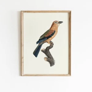 Bird Painting Wall Art poster Choose your Size - Picture 1 of 2