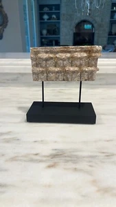 Decorative Aidan Gray Fragment - Picture 1 of 3