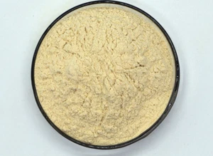 NARINGIN Grapefruit Peel Extract (98% Naringin by HPLC) Powder Antioxidant - Picture 1 of 2
