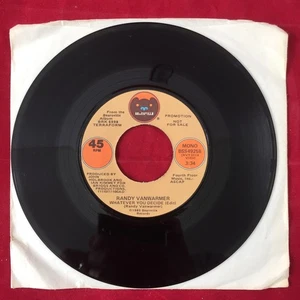 Promo RANDY VANWARMER Whatever You Decide (edit) 7” mono/stereo Bearsville MINT - Bild 1 von 3