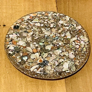 Plympton's Trivet Lucite Abalone Shell Resin 5.5” Hot Plate MCM Kitsch Round USA - Picture 1 of 7