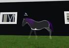 ✨Wild horse islands roblox ✨ WHITE GHOST MUSTANG  PURPLE MANE AND TAIL