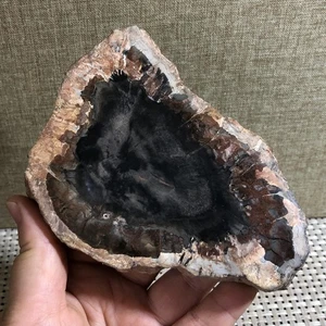 GLORIOUS COLOR Madagascar Petrified Wood Round 257g d70 - Picture 1 of 11