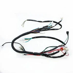 Arnés de cableado de motor Rec Reg + cables ligeros 125cc PIT Trail Dirt Bike - Imagen 1 de 12