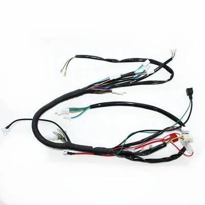 Rec Reg Engine Wire Wiring Harness Loom+ light wires 125cc PIT Trail Dirt Bike - Image 1 of 4