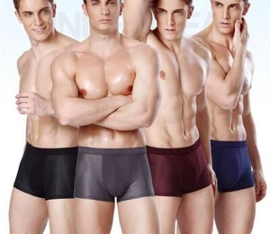 Free Shipping New Men Ice Silk Mesh Bamboo Fibre Boxer Shorts Summer Size: L-6XL - Picture 1 of 24
