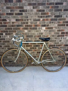 Vtg RALEIGH RECORD BICYCLE Road Bike 21.5" Steel Frame Allvit Weinmann 1970's - Picture 1 of 9
