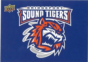 2014-15 Upper Deck AHL BRIDGEPORT SOUND TIGERS Alternate Sticker #34 Islanders - Picture 1 of 1
