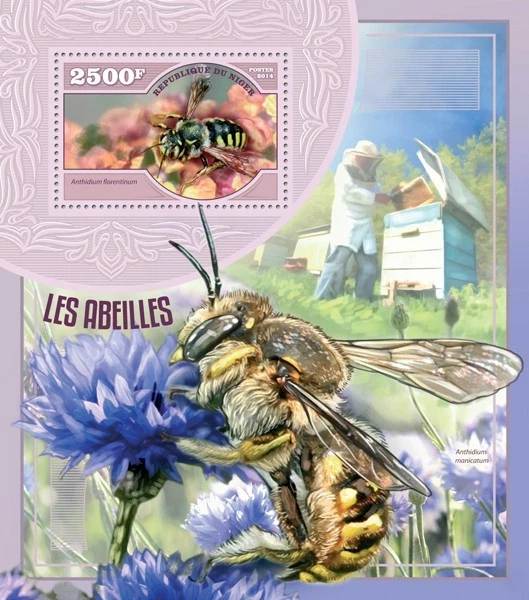 Abejas (Anthidium florentinum) Foto 1 de 1