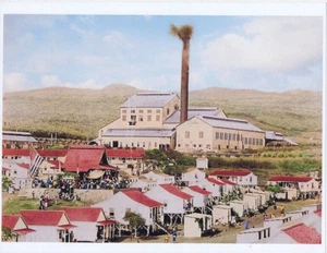 AIEA SUGAR MILL 1880s COLORD F/ORIGINAL BLACK &  WHITE ON 8.5 x 11 Unmounted - Picture 1 of 1