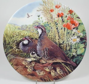 Beautiful Royal Grafton Braithwaite Game Bird Plate ~ Red-Legged Partridge - Picture 1 of 4