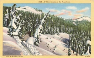 Postcard Snow Trees Winter Scene Mountains - Picture 1 of 2