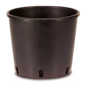 Vase Kindergarten Topf D.19 X H 21cm Ovp x100vasi Schwarz - Picture 1 of 1