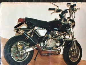 Honda Monkey Sonderanfertigung - Bild 1 von 1