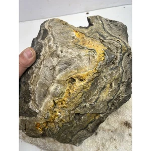 Jaspe abejorro 16 lb - lapidario áspero para cabbing piedra mineral roca #1 - Imagen 1 de 12