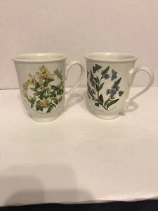portmeirion botanic garden coffee mug Poly gala Chamaebuxus & Speedwell - Picture 1 of 11