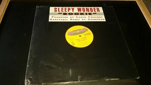 Sleepy Wonder Nkansa, Shinehead Rookie 12" Ragga Hip Hop 1995 NEW SEALED - Picture 1 of 3