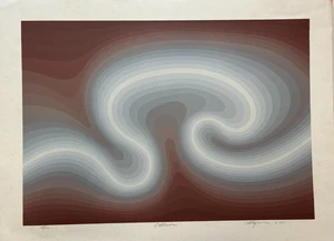 DUE SERIGRAFIE VENDUTE COME SET Roy Ahlgren vintage originali firmate e numerate - Foto 1 di 8