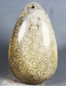 120Ct Natural Chrysanthemum Jade Coral Fossil Pendant Specimen - Picture 1 of 11
