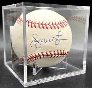 Baseball autografato Andruw Jones Tristar 2022 con supporto quadrato palla nuovo - Foto 1 di 6