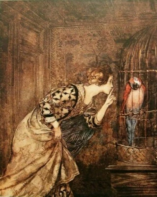 ARTHUR RACKHAM montado vintage impresión 14 x 11" 1975 loro AR28 Foto 1 de 2