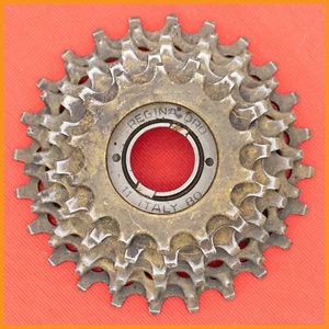 REGINA ORO ITALY 80 14 24 FREEWHEEL 6 SPEED ROAD BIKE VINTAGE THREADED ITA ISO - Imagen 1 de 5