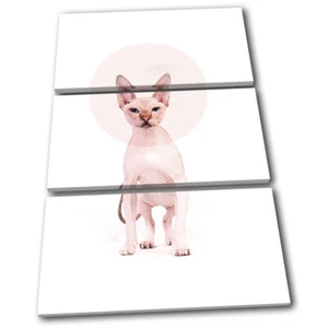 Sphynx Cat Bald Modern Circle Animals TREBLE CANVAS WALL ART Picture Print - Picture 1 of 1