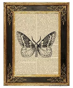 Falena #1 Stampa artistica su pagina libro vintage giardino insetti casa ufficio decorazione regali - Foto 1 di 3
