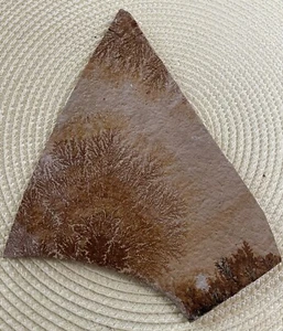 Fossilien, Eisen- und Mangandentriten,Mineralien, Geschenk - Bild 1 von 5