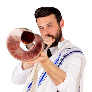 HalleluYAH 28"-32" Half-Polished Kudu Shofar From Israel with Anti-Odo Spray - Picture 1 of 6