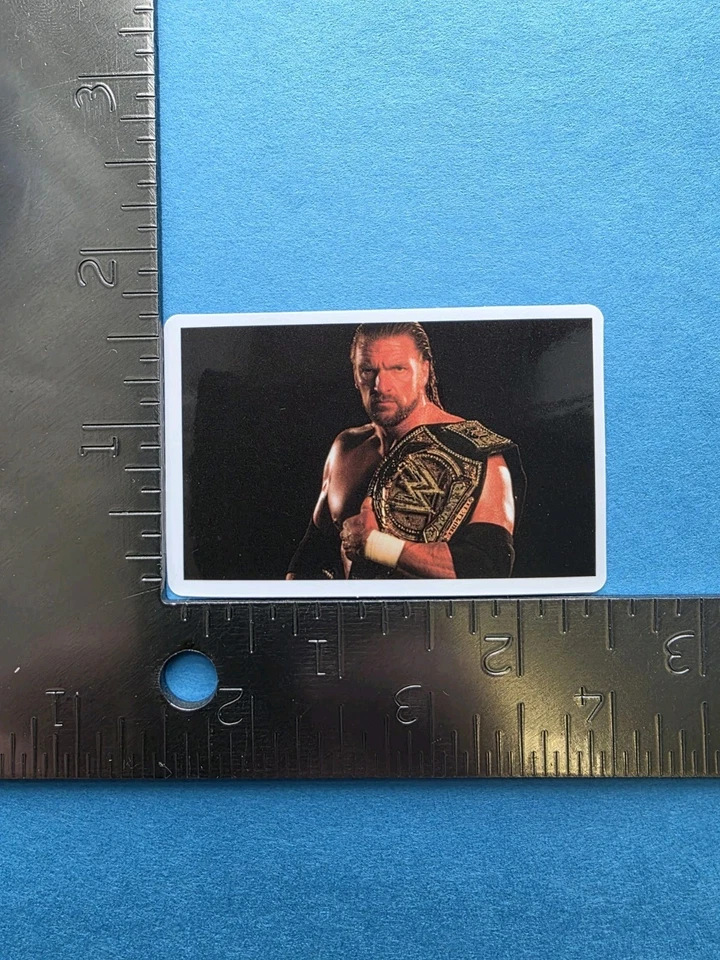 Adesivo de luta profissional Hunter Hearst Helmsley triplo H WWE WWF HH D-X - Imagem 1 de 1