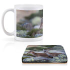 1 Mug & 1 Square Coaster Pyrenean Ibex Spain Wild Animals #53335