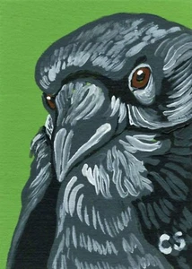 Pintura en miniatura original ACEO cuervo cuervo vida silvestre arte de aves -C. pequeño - Imagen 1 de 2